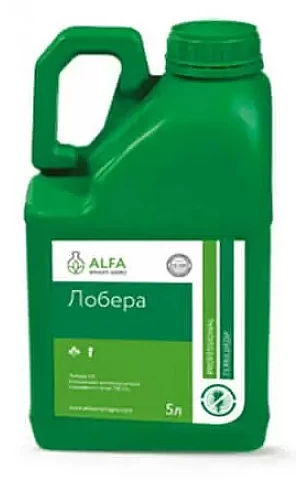 Лобера КЕ