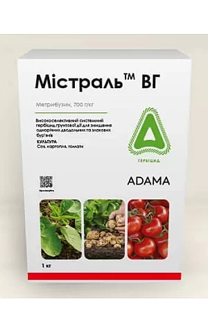 Мистраль ВГ