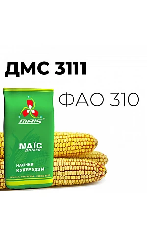 Кукуруза ДМС 3111
