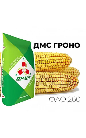 Кукуруза ДМС Гроно