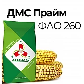Кукуруза ДМС Прайм