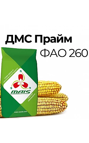 Кукуруза ДМС Прайм
