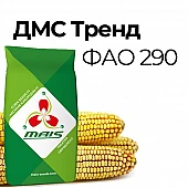 Кукуруза ДМС Тренд