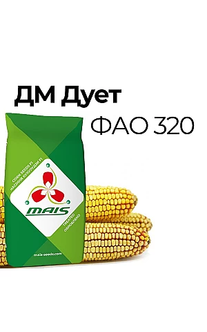 Кукуруза ДМ Дуэт