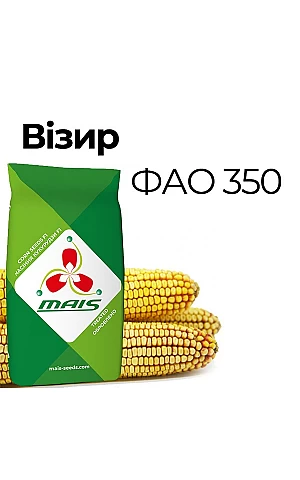 Кукуруза Визир
