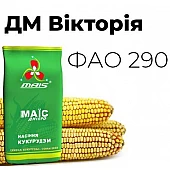 Кукуруза ДМ Виктория