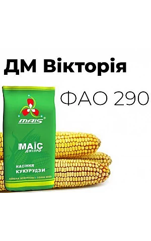 Кукуруза ДМ Виктория