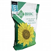 Подсолнух Армагедон 