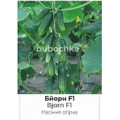 Огурец Бйорн F1