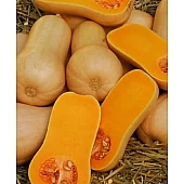 Тыква Арахисовое масло