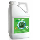 Агент