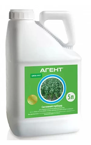 Агент