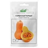Тыква Баттернат 