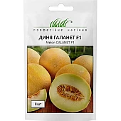 Дыня Галанет F1 