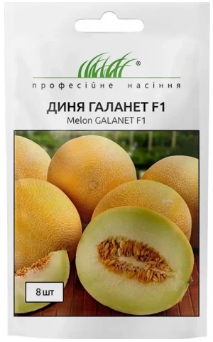 Диня Галанет F1 