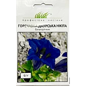 Горечавка даурська Микита 