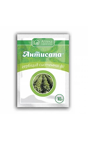 Антисапа