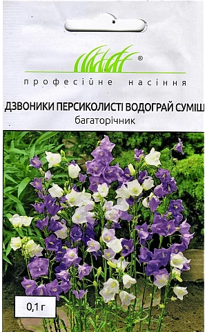 Дзвоники персиколисті  Водограй