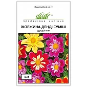 Георгина низкорослая Денди смесь 