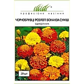 Бархатци отклоненные Бонанза F1 смесь