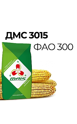 Кукуруза ДМС 3015
